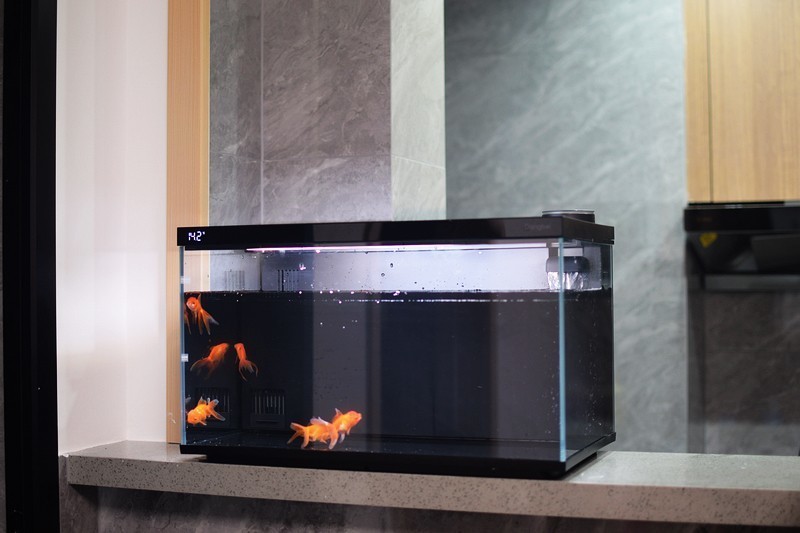 让智能养鱼变得如此简单 当贝智能鱼缸 1 Ultra