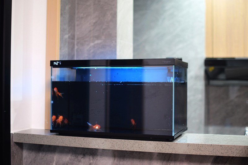 让智能养鱼变得如此简单 当贝智能鱼缸 1 Ultra