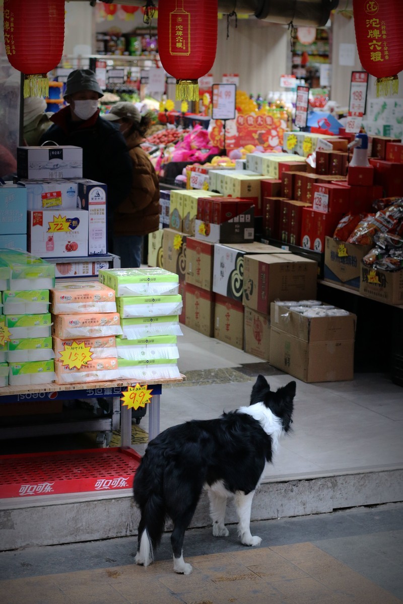 70D带50定焦头出来走一圈