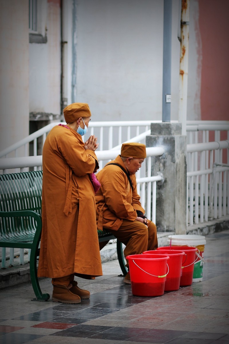 70D带50定焦头出来走一圈