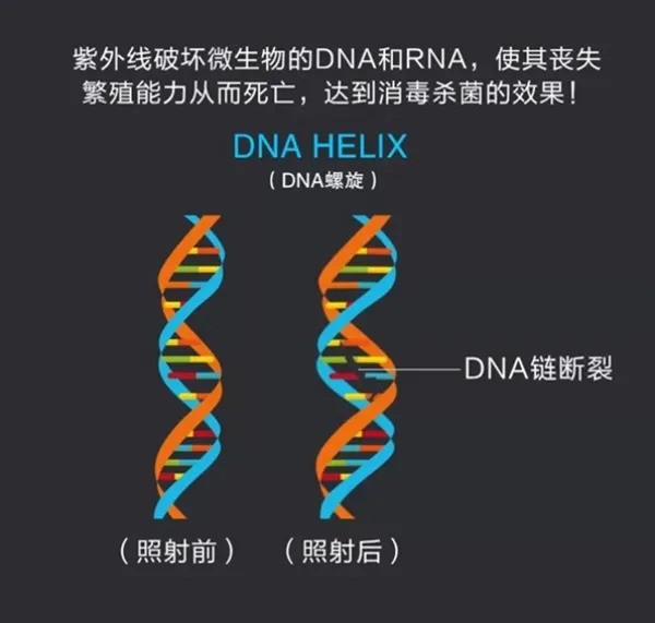 空气充满科技感，时刻满足小空间大消毒安全感