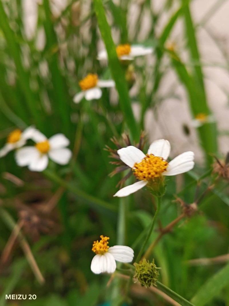 还是那个扣细节的魅族，Flyme带来不一样的体验，魅族20上手实测
