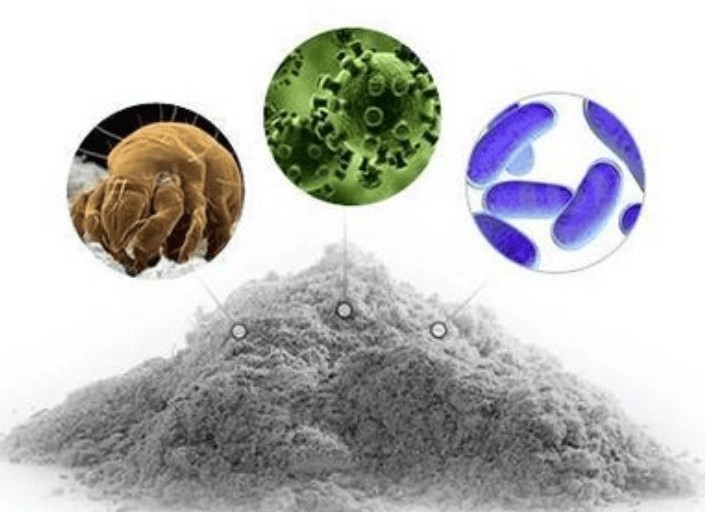 除螨仪到底值不值得买？2025年5款高性价比除螨仪品牌大揭秘！