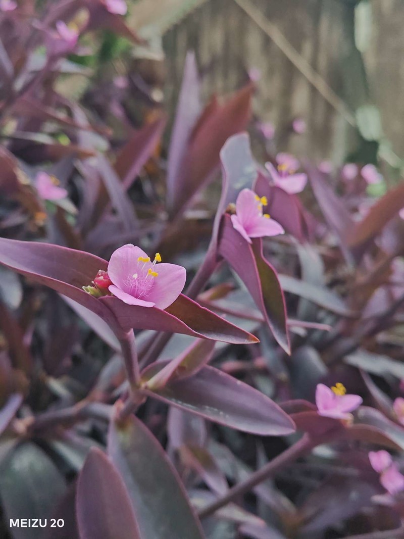 还是那个扣细节的魅族，Flyme带来不一样的体验，魅族20上手实测