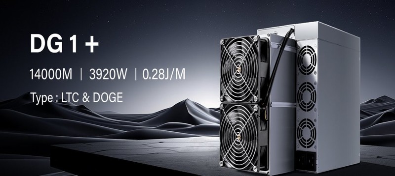 ELPHAPEX DG1+14G 升级版 算力新巅峰 挖掘新利器