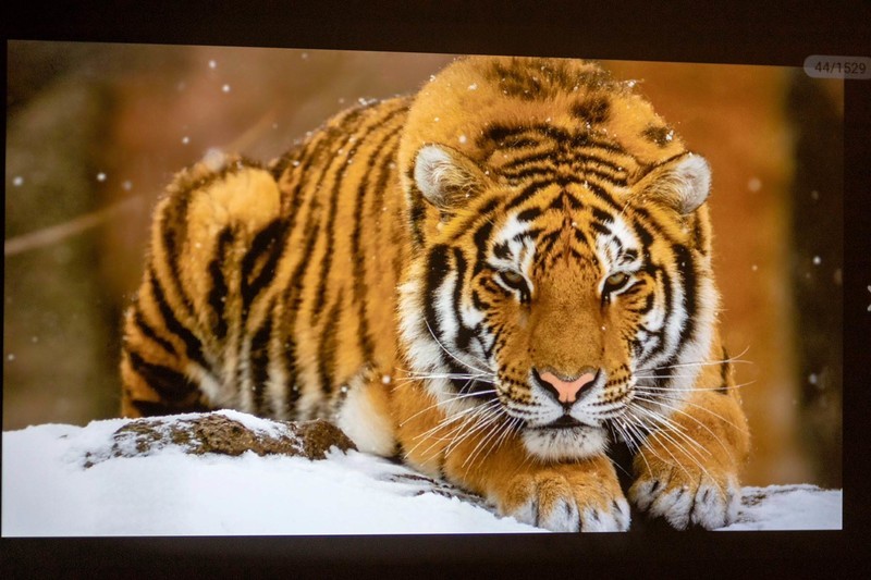 春节假期，把“电影院”搬回家，泰捷WEBOX T1S 投影仪全面评测