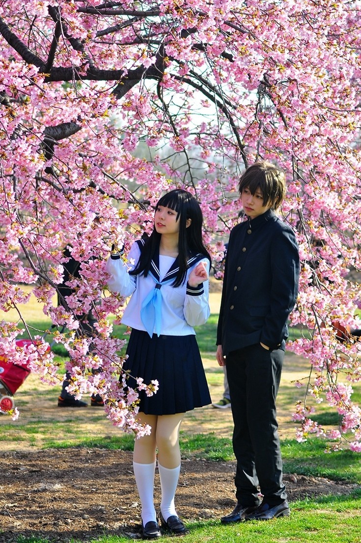 《樱花盛开时》