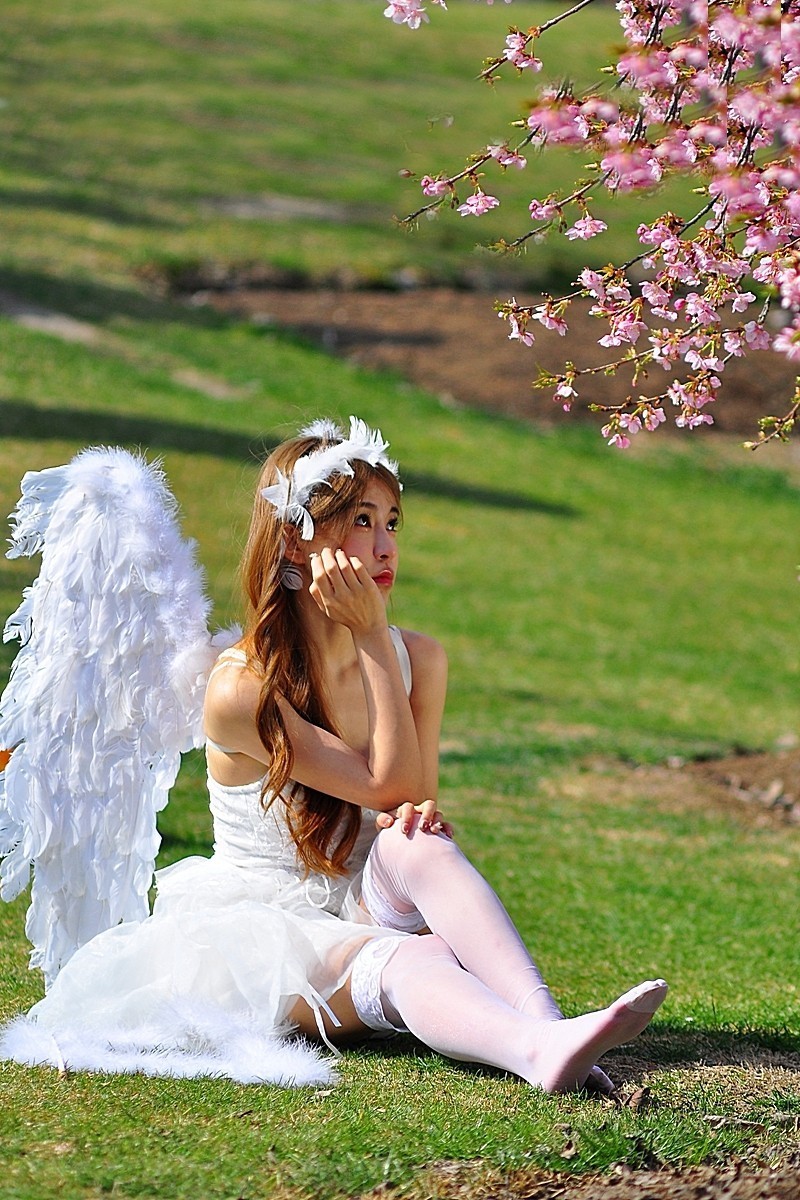 《樱花盛开时》