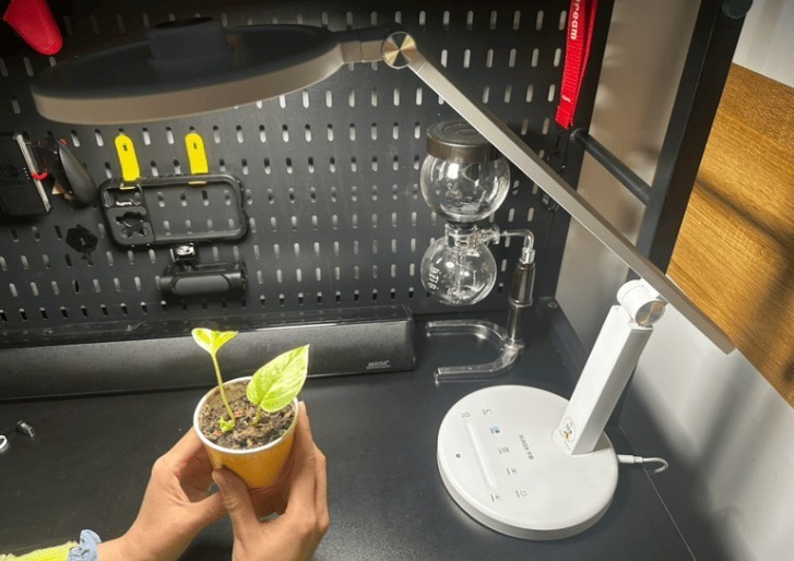 几千的护眼台灯是智商税吗？台灯需要买那么贵的吗？