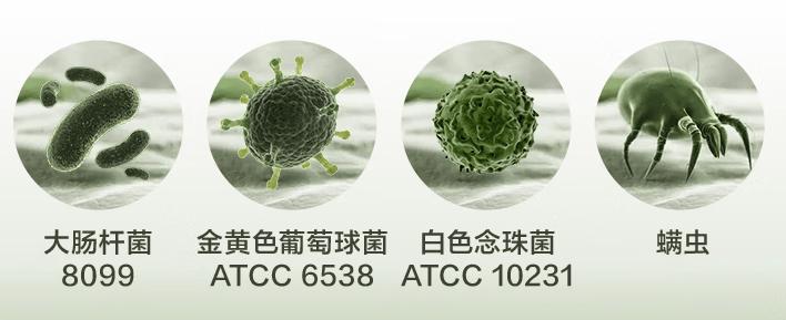 床上除螨仪有必要买吗？2025年五大实用除螨仪机型清单分享！
