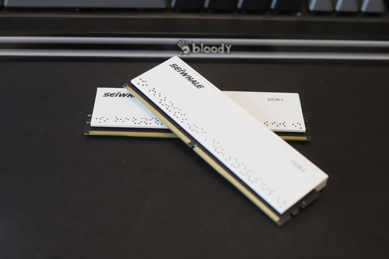 终身质保底气有点足！枭鲸审判者台式机内存条DDR5 16GB5600装机试用报告！