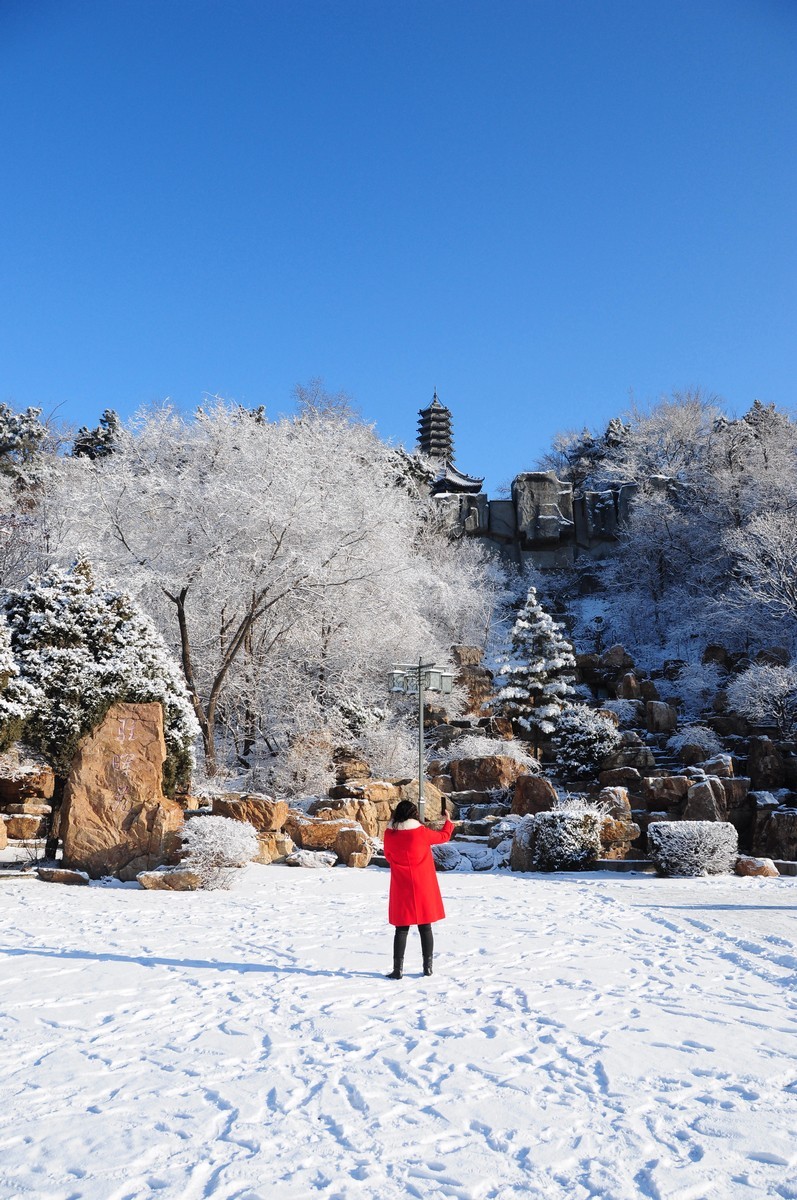 龙山春雪