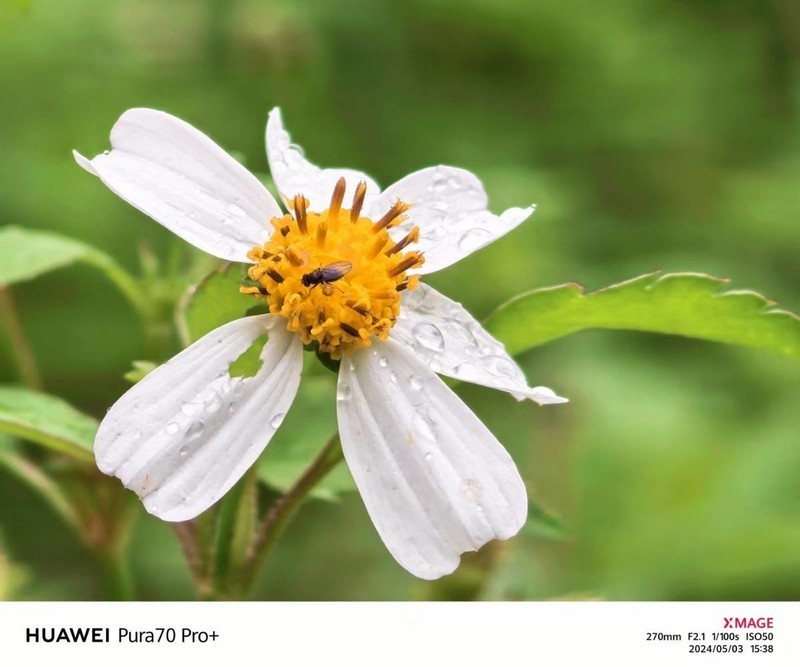 入手华为Pura 70 Pro+半个月后再来谈，值得吗？