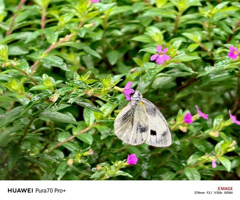 入手华为Pura 70 Pro+半个月后再来谈，值得吗？