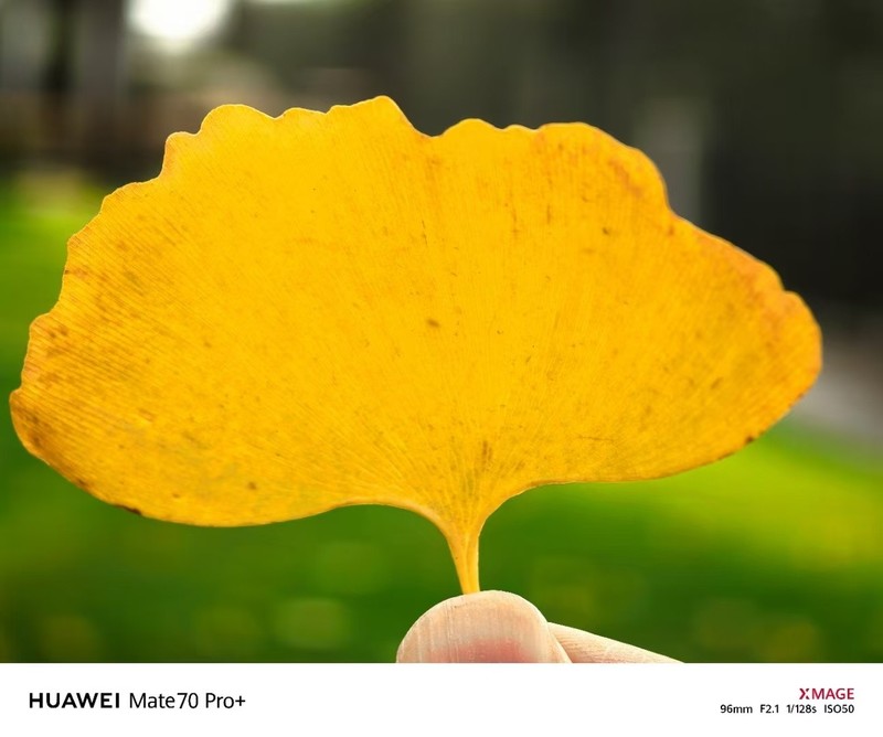 逆光下的暗示：思特威老总再晒照片