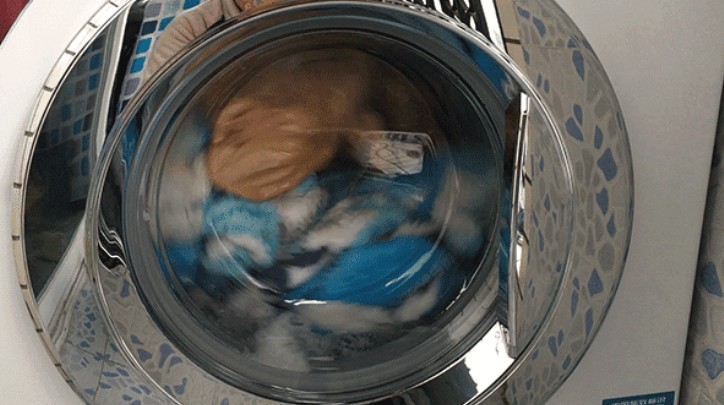 内裤洗衣机需要一人一台吗？快来围观2024年五大好货集合