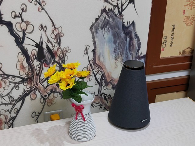 家庭智能中心 卡萨帝鉴赏家智能音箱