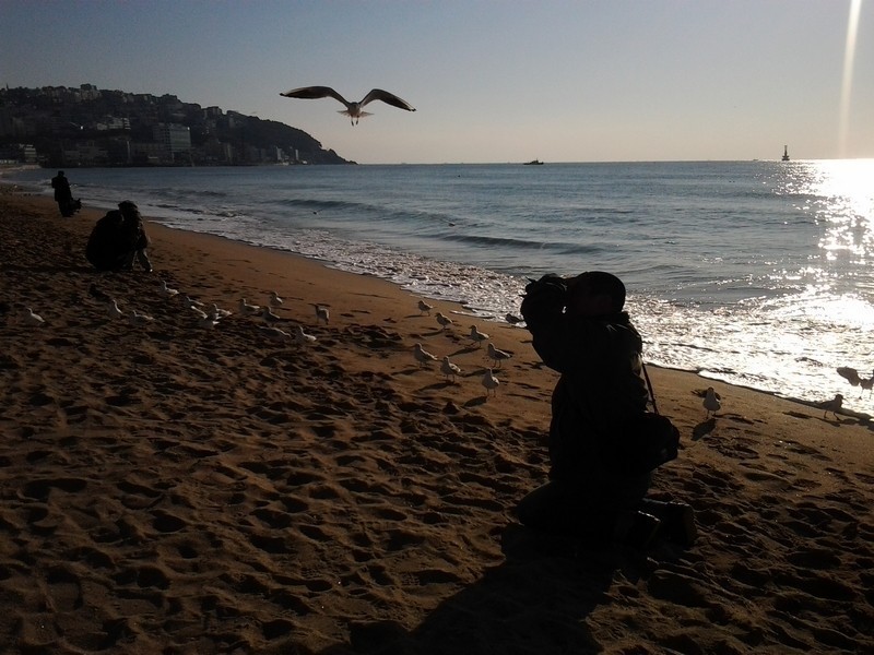 国际旅行的充电利器 威宝65W氮化镓插座转换器