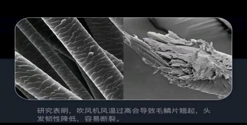 吹风机有什么危害？提防吹风机的四大危害缺点！