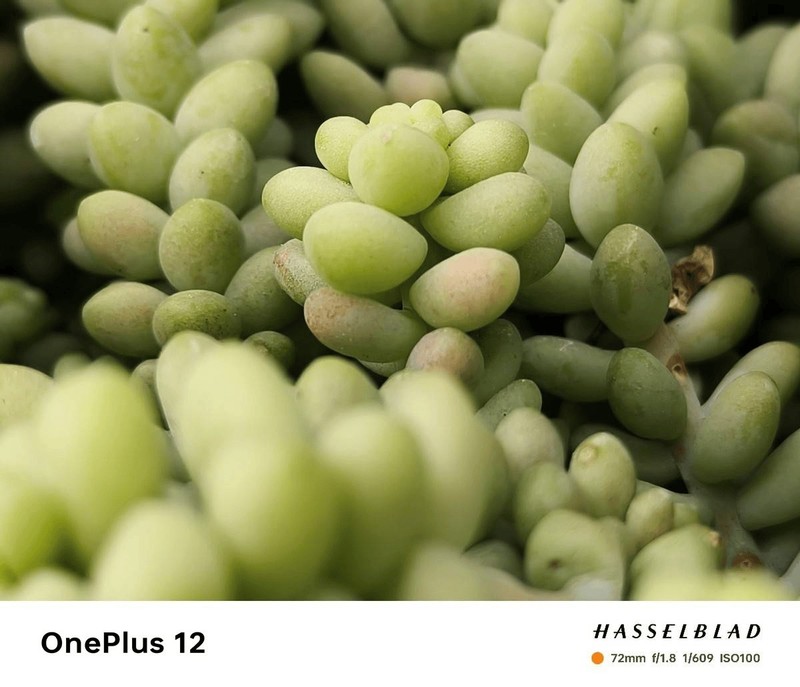 入手用上了心心念的一加12，才明白：为什么这款手机越用越香了？