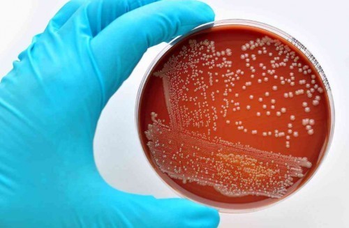 婴儿洗衣机哪个牌子好用？盘点四大婴儿洗衣机品牌分享，任君选择