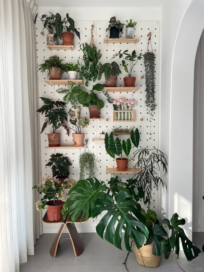 大白墙是穷人乐？不！这才是高阶玩家的隐藏画布！