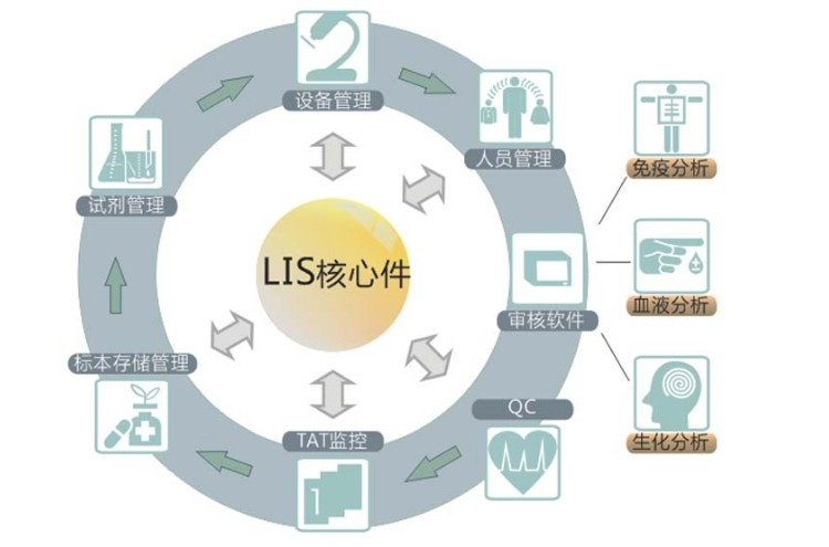 LIS系统源码，实现临床检验信息化，检验科信息管理自动化