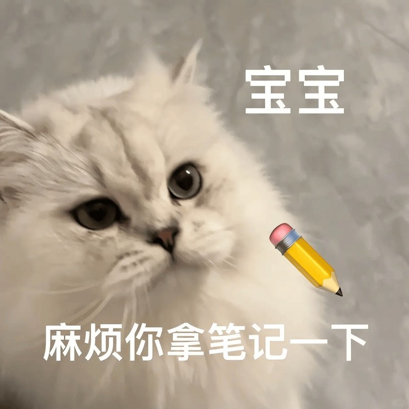 蓝牙耳机什么牌子好用性价比高、适合学生党性价比高的耳机