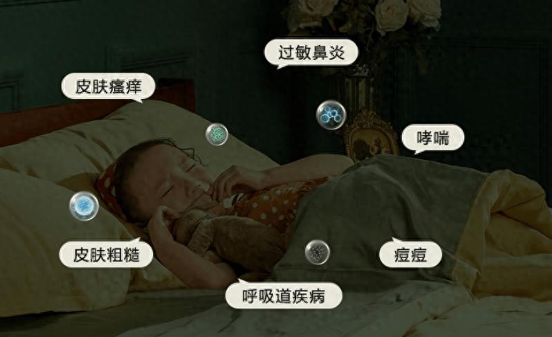 十大公认好用的除螨仪性价比？精选2025年十大高口碑机型！