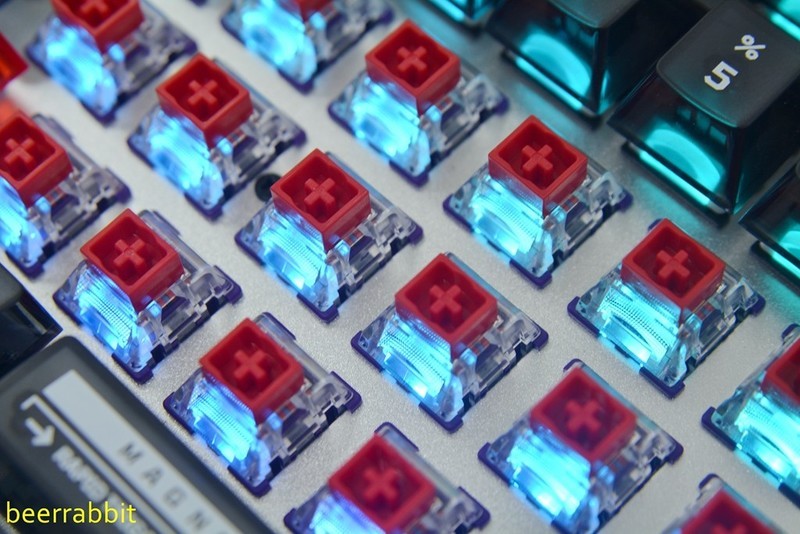 TTC万磁王轴：触底干脆扎实 行程顺滑回弹跟手