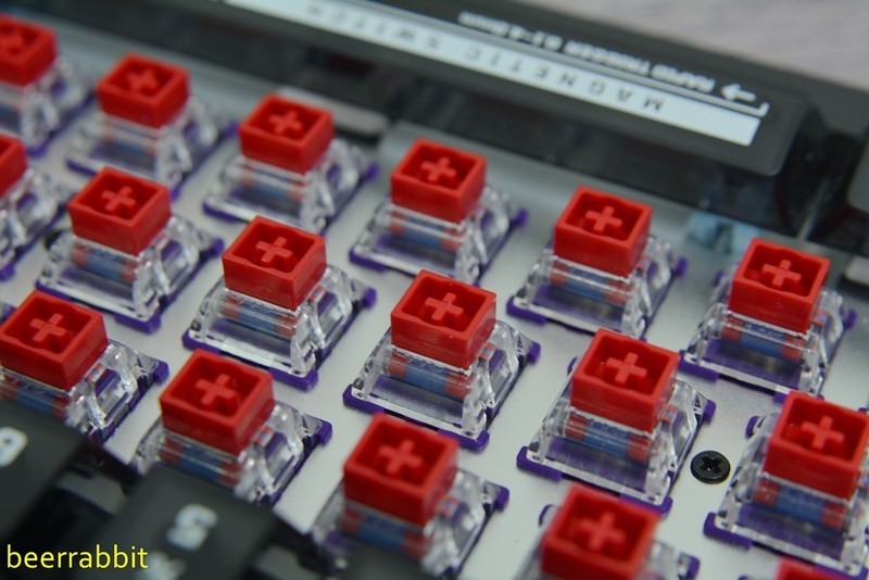 TTC万磁王轴：触底干脆扎实 行程顺滑回弹跟手