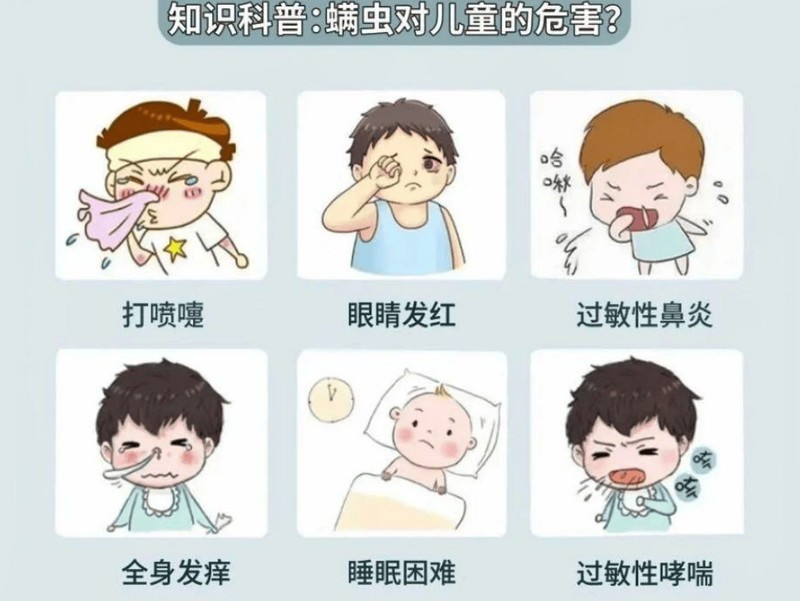 除螨仪品牌哪家好用？公认热门除螨仪排行榜前五实测分享