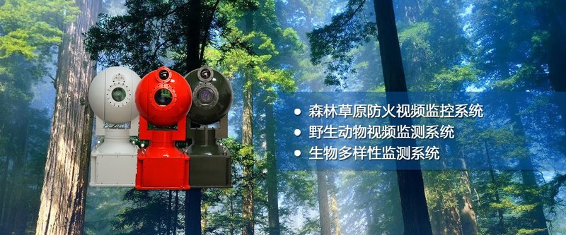 前端后端齐发力，西安神明电子打造森林防火监控系统新标杆！