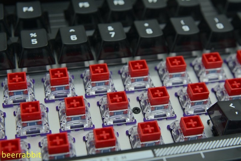 TTC万磁王轴：触底干脆扎实 行程顺滑回弹跟手