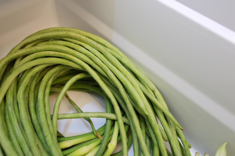 1839元就能买到636L超大智能冰箱，云米AI智能冰箱iLive2延鲜版全体验