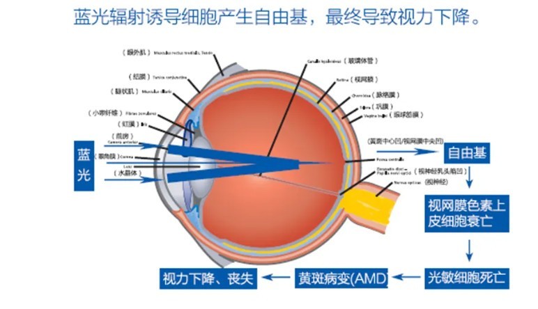 2022年热门网课投影推荐 当贝F5值得入选么？