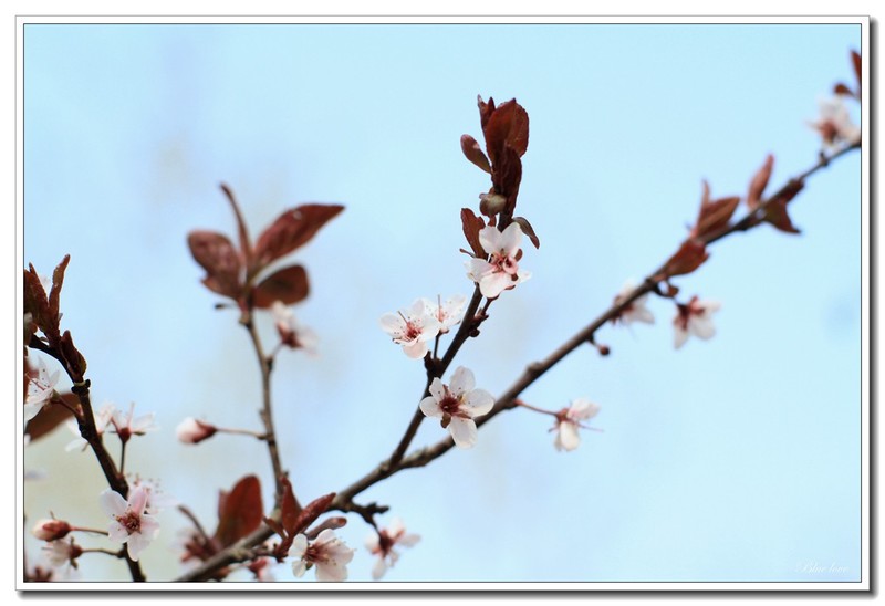 冬去春来有一年！