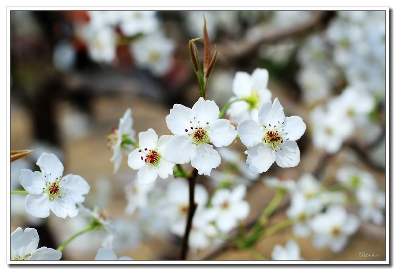 冬去春来有一年！