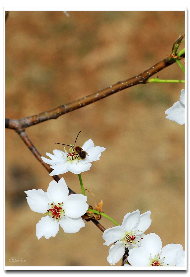 冬去春来有一年！