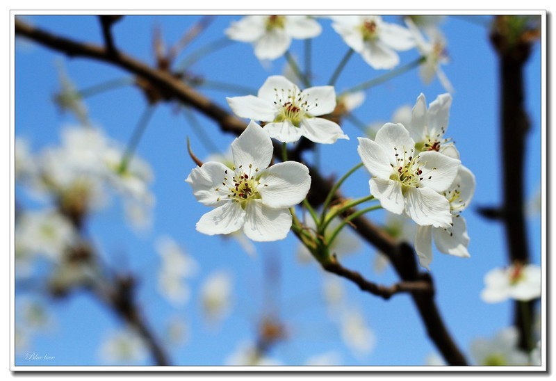 冬去春来有一年！