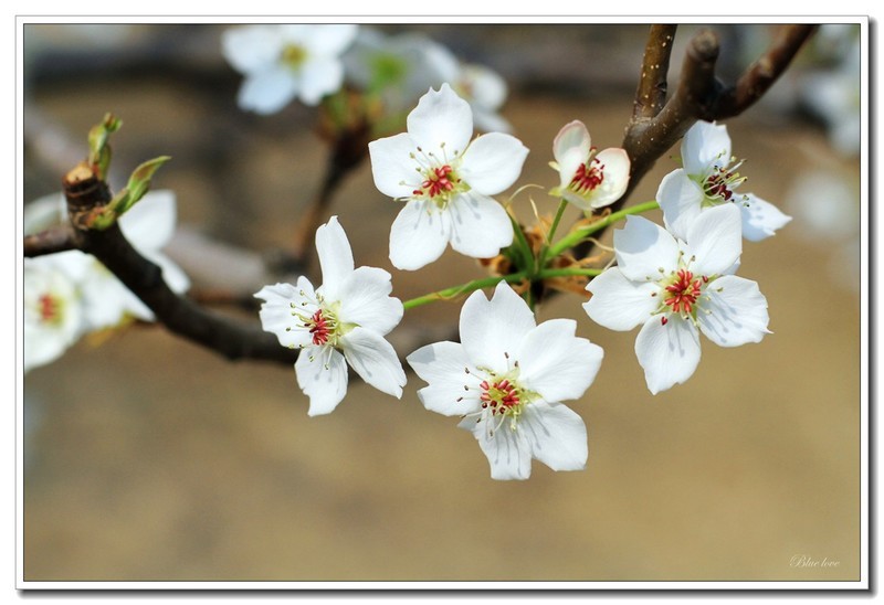 冬去春来有一年！