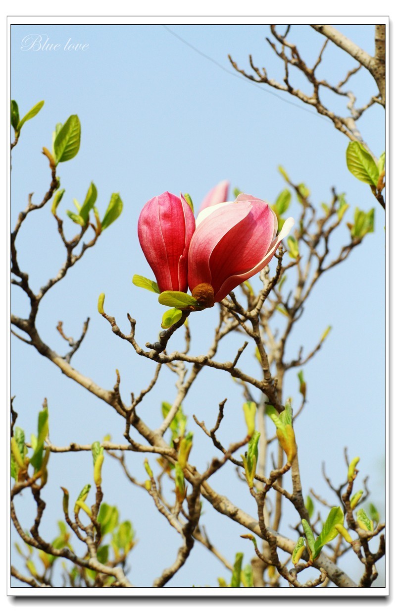 冬去春来有一年！