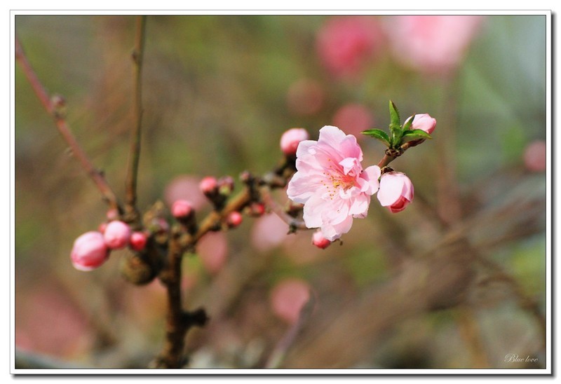冬去春来有一年！