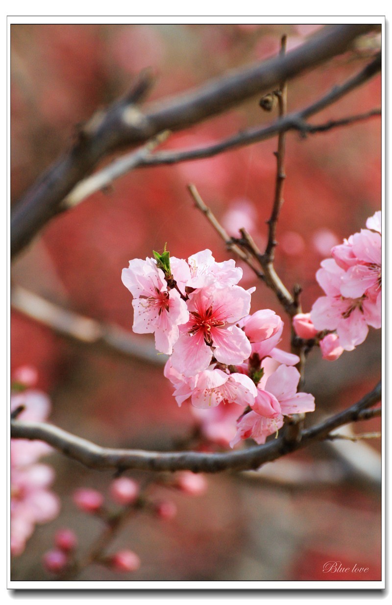 冬去春来有一年！