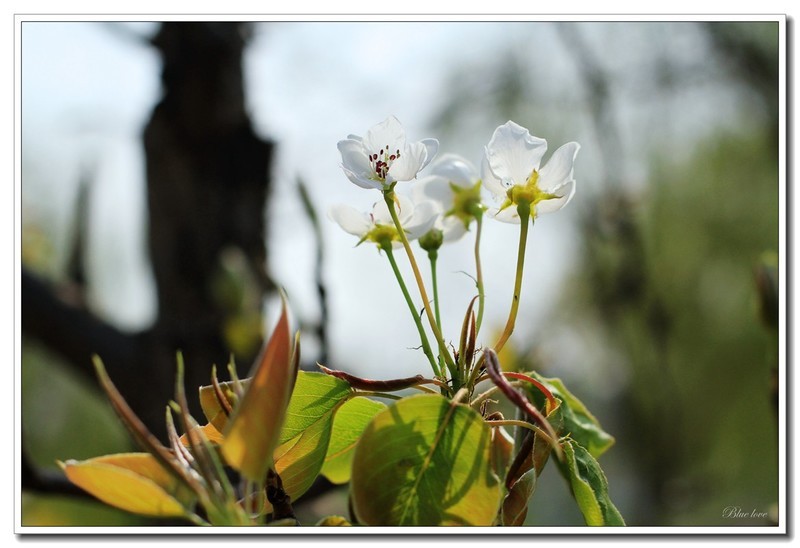冬去春来有一年！