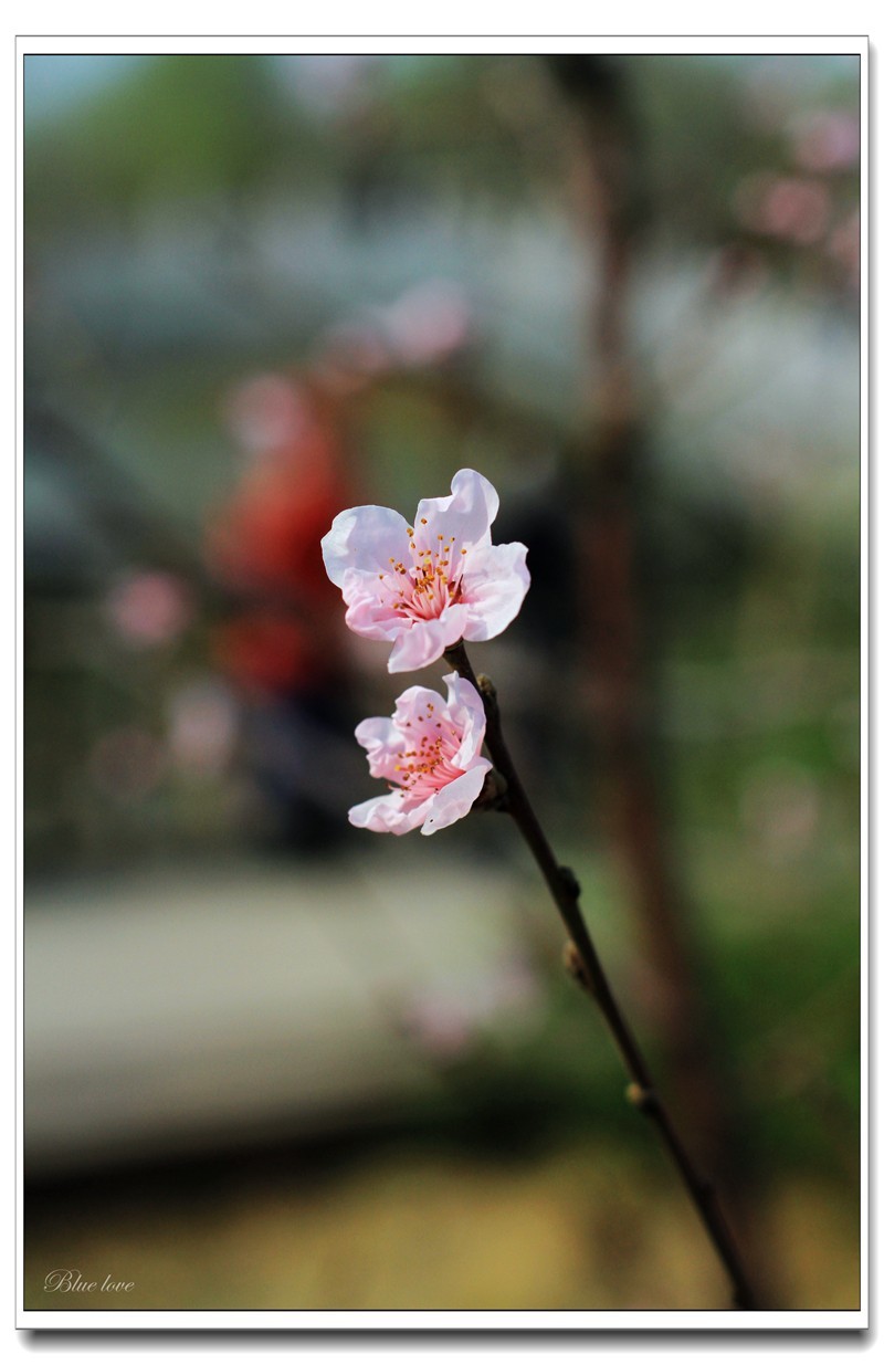 冬去春来有一年！