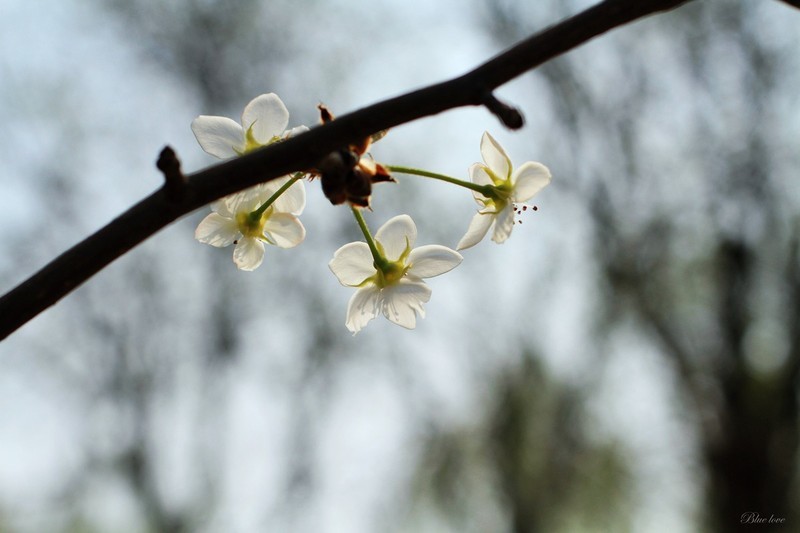 冬去春来有一年！