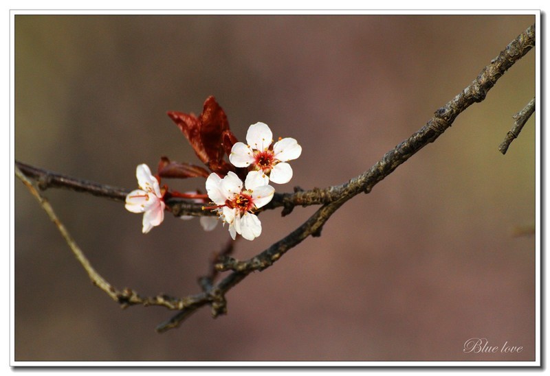 冬去春来有一年！