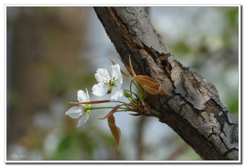 冬去春来有一年！