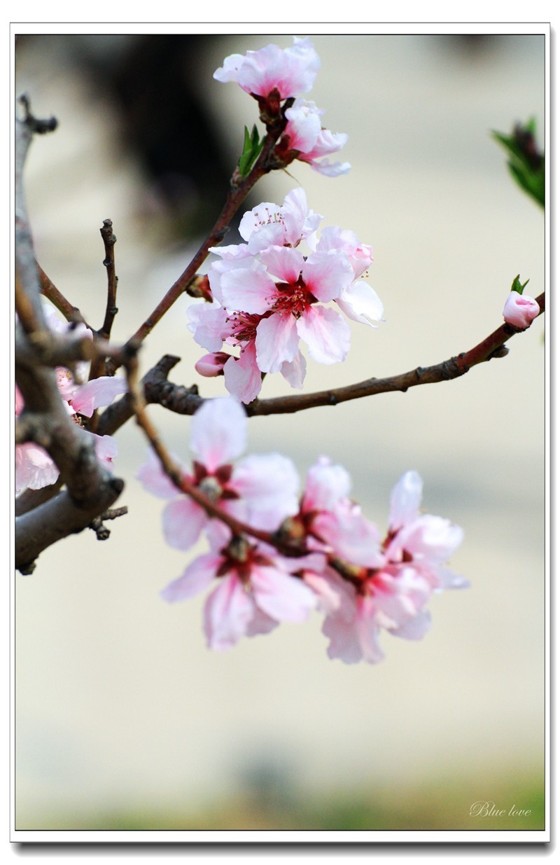 冬去春来有一年！